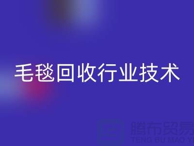 毛毯回收行业技术创新推动发展，政策支持力度加大