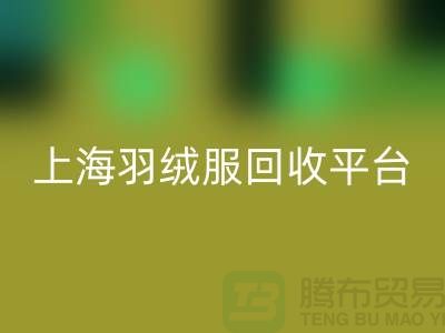 波司登羽绒服回收平台的环保意义-全天可预约回收#开云在线登录