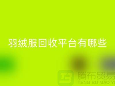 羽绒服回收平台有哪些公司或者品牌-开云在线登录有限公司