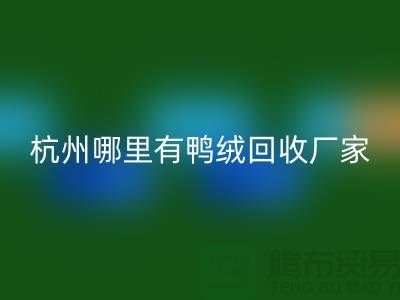 揭秘羽绒回收市场，每斤价值几何？杭州鸭绒回收厂家