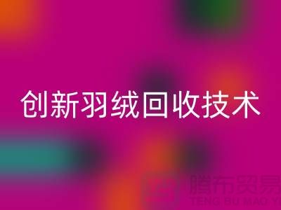 创新羽绒回收技术，环保的未来