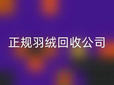 正规羽绒回收公司 —— 您的羽绒服、羽绒被及羽绒制品的环保再生伙伴