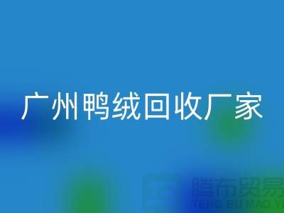 绿色循环，让羽绒回收成为重庆的新时尚-广州鸭绒回收厂家