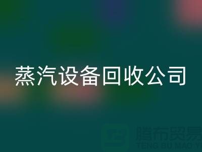 锅炉开云（中国）厂家：环保与经济效益的完美结合-蒸汽开云（中国）公司