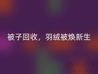 全新被子回收，羽绒被焕新生——江苏南通家纺城引领绿色未来