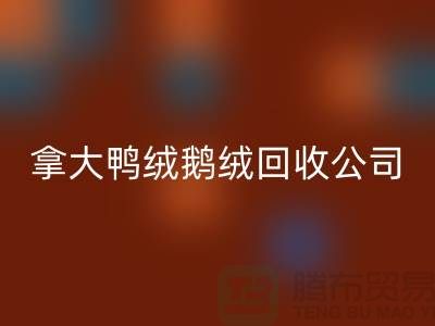 8034015efdf53250327405cb48ffce65_1.png