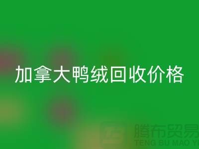 加拿大鸭绒回收价格表最新仅供参考