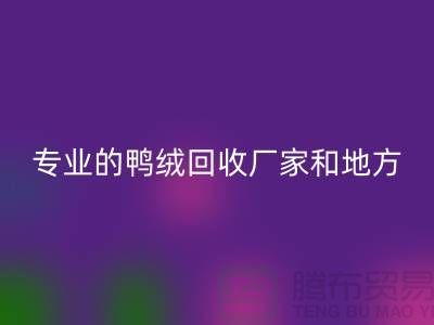 探索鸭绒回收：寻找上海专业的回收厂家与地方