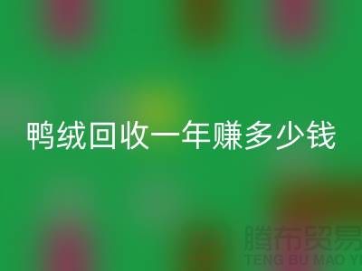 鸭绒回收一年挣多少钱？揭秘利润与环保的双重收益
