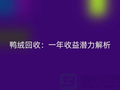 鸭绒回收：一年收益潜力解析@开云在线登录