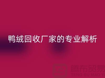 90%白鹅绒、90%白鸭绒与90%灰鸭绒：上海鸭绒回收厂家的专业解析