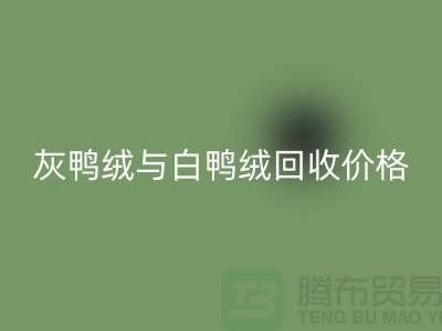 ### 灰鸭绒与白鸭绒：价格及回收详解