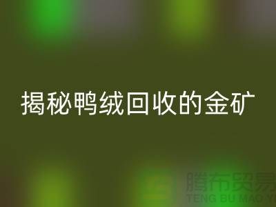揭秘鸭绒回收的金矿，一年能挣多少钱？上海羽绒回收厂家
