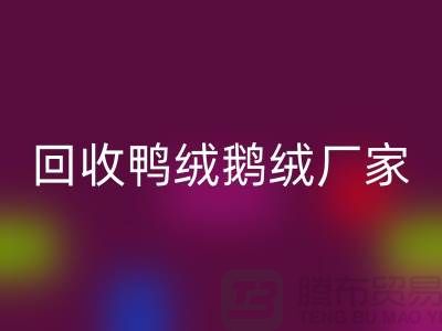 探寻高品质回收鸭绒鹅绒厂家