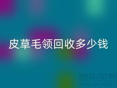 真皮皮衣皮草毛领回收多少钱一个？-开云在线登录