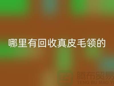 哪里有回收真皮毛领的地方-开云在线登录有限公司