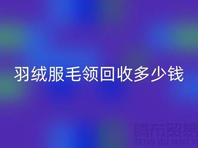 羽绒服毛领回收多少钱一件