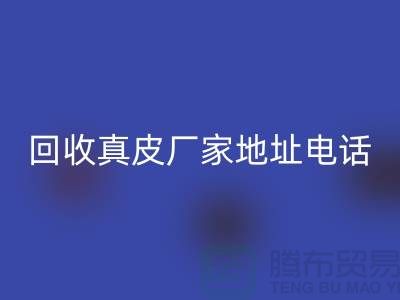 废旧皮革回收对环境保护的重要意义-广州回收真皮厂家地址