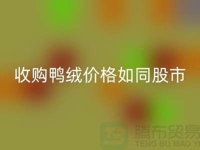 收购鸭绒价格如同股市一样飘泊不定-郑州库存鸭绒回收厂家
