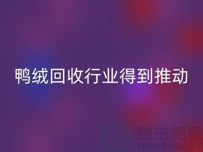 90鸭绒回收行业2021年得到极大的推动_开云在线登录有限公司