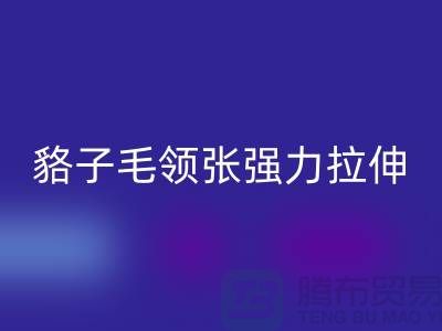 貉子毛领的皮张强力拉伸-为什么不变型-高价回收毛领厂家