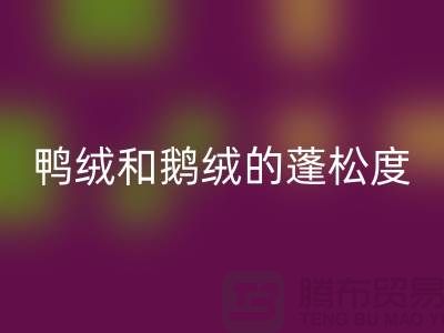 鸭绒和鹅绒的蓬松度如何识别-回收库存鸭绒-回收库存鹅绒厂家