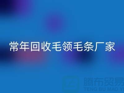 真毛领子、假毛领子怎么辨别？常年回收毛领毛条厂家来告诉你