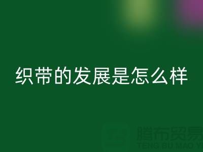 织带的发展是怎么样的呢-废旧织带回收价格-废旧织带回收厂家