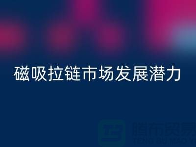磁吸拉链市场发展潜力研究分析报告_上海拉链回收公司