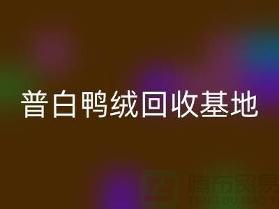 普白鸭绒回收基地：环保与经济的完美结合-纯白鹅绒回收厂家