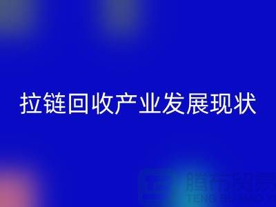 拉链回收产业发展现状特点及上海拉链回收厂家解析 