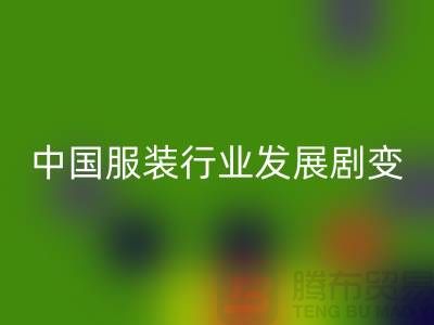 中国服装行业发展剧变-成败重要途径-上海库存开云在线登录公司
