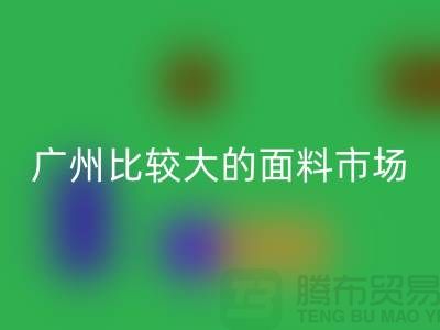 广州比较大的面料市场_中大布料市场攻略_开云在线登录公司